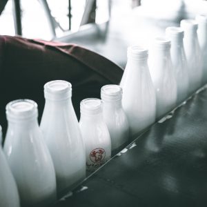 tipos de leche