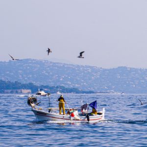pesca sostenible